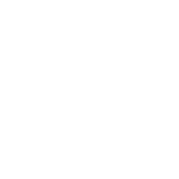 Rovaniemi Insider